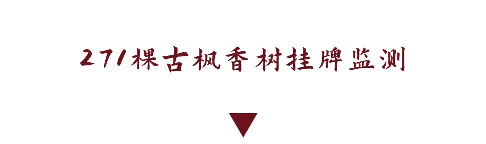 DƬ